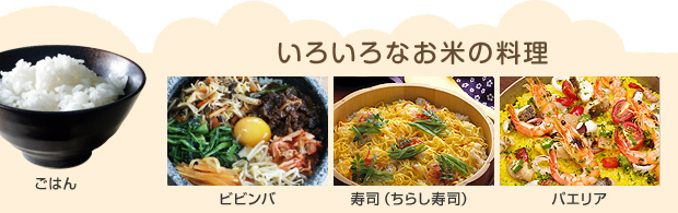 いろいろなお米の料理:ごはん、ビビンバ、寿司(ちらし寿司)、パエリア