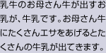 乳牛のお母さん牛が出すお乳が、牛乳です。お母さん牛にたくさんエサをあげるとたくさんの牛乳が出てきます。