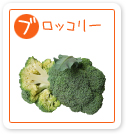 ブロッコリー