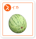 スイカ