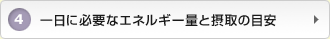 4：一日に必要なエネルギー量と摂取の目安