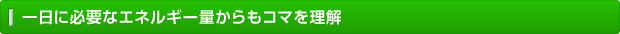 一日に必要なエネルギー量からもコマを理解