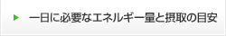 一日に必要なエネルギー量と摂取の目安