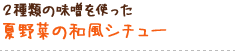 2種類の味噌を使った 夏野菜の和風シチュー
