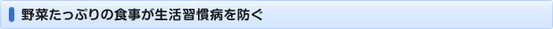 野菜たっぷりの食事が生活習慣病を防ぐ