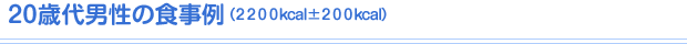 20歳代男性の食事例（2200kcal±200kcal）
