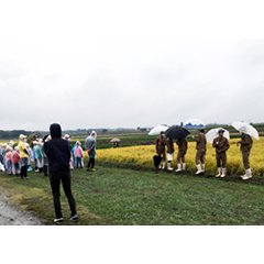 ある年のカリキュラム