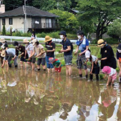 田植えの体験