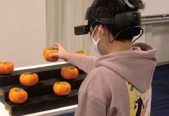 柿のリモート収獲体験