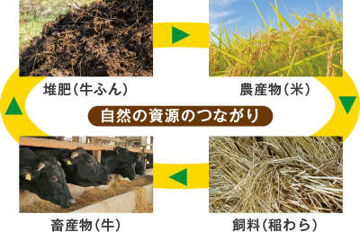 自然の資源のつながりを現している図
農産物(米)、飼料(稲わら)、畜産物(牛)、堆肥(牛ふん)が循環している