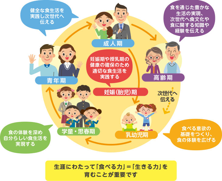 乳幼児期から高齢期まで、それぞれのライフステージで大切にしたい食育の取組の図。
生涯にわたって「食べる力」=「生きる力」を育むことが重要です。