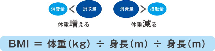 エネルギーの摂取量と消費量のバランスのイラストと体格指数BMIの
求め方
●消費量<摂取量=体重増える
●消費量>摂取量=体重減る
BMI = 体重(kg) ÷ 身長(m) ÷ 身長(m)
