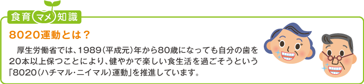 食育豆知識:8020運動とは?
厚生労働省では、1989(平成元)年から80歳になっても自分の歯を20本以上保つことにより、健やかで楽
しい食生活を過ごそうという「8020(ハチマル・ニイマル)運動」を推進しています。