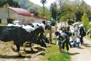 牧場での牛と子供のふれあい体験（写真）