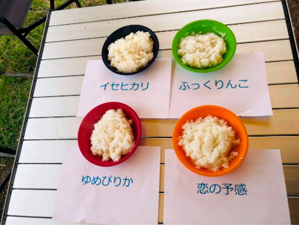 「4品種の米の食べ比べ」の様子