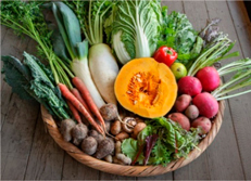 通信販売で扱う野菜の一例