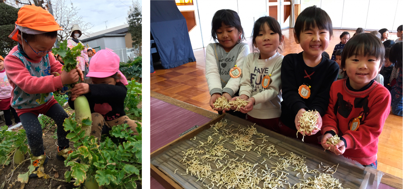 収穫した大根から、切干大根づくりを体験