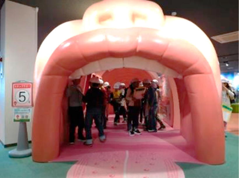 ミュージアム（人体トンネル）を見学する小学生