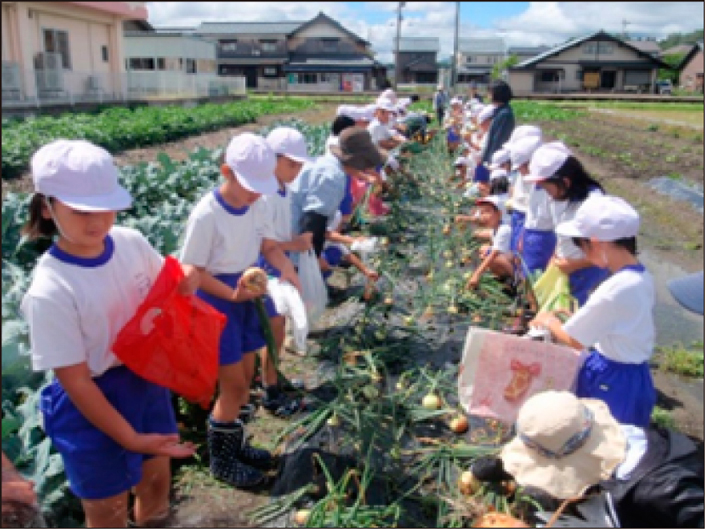 学校給食畑での農業体験