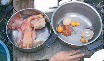 食べ物になったニワトリ