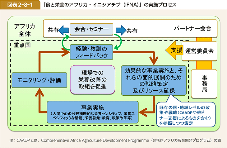 図表2-8-1 「食と栄養のアフリカ・イニシアチブ(IFNA)」の実施プロセス