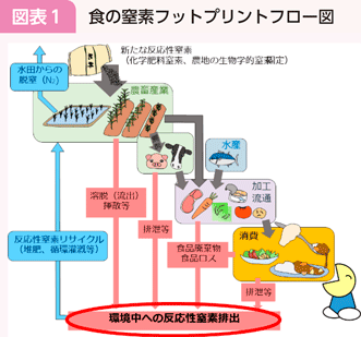 図表1 食の窒素フットプリントフロー図