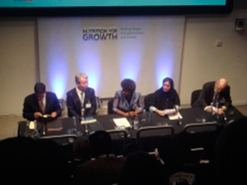 平成25(2013)年「成長のための栄養(N4G)」パネルディスカッションの様子