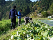 野菜を生産している農家を訪問