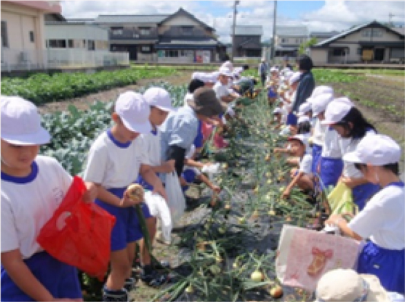 学校給食畑での農業体験