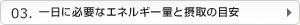 03.一日に必要なエネルギー量と摂取の目安