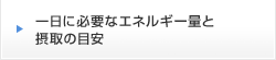 一日に必要なエネルギー量と摂取の目安