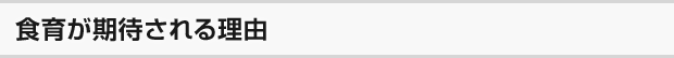 食育が期待される理由