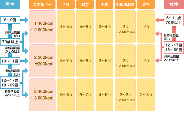 一日分の身体活動量の対する適量チャート