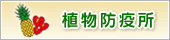 植物防疫所