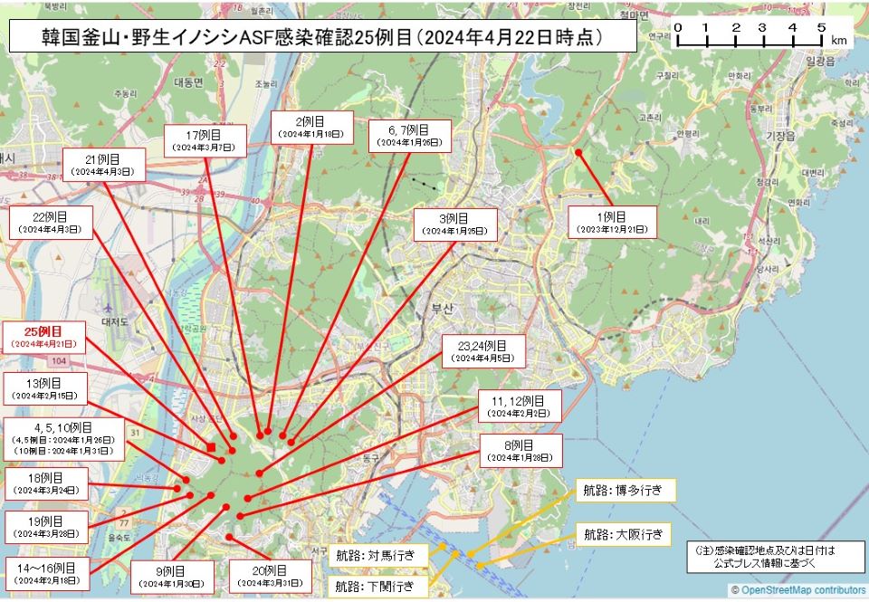 韓国釜山野生イノシシASF発生地図(釜山野生イノシシ25例目)
