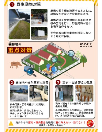 アフリカ豚熱ポスター裏面