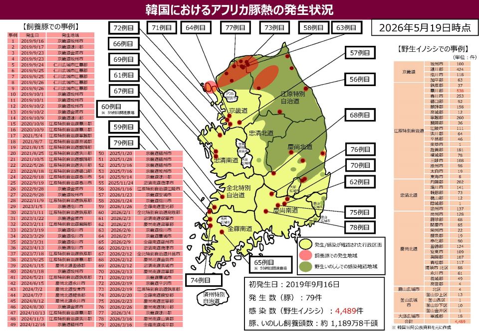 韓国におけるアフリカ豚熱の発生状況（2026年5月19日時点）を地図で示している
