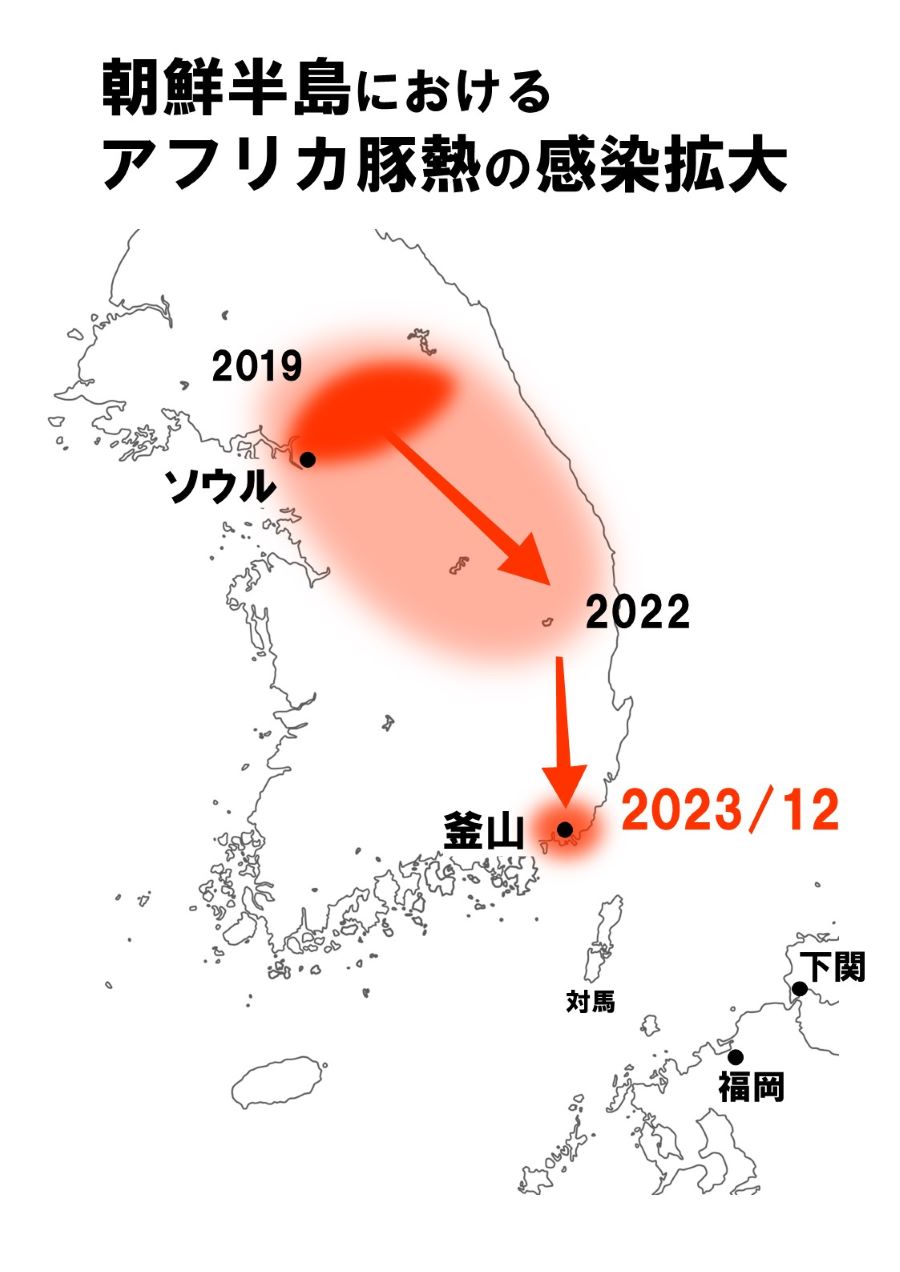 朝鮮半島におけるアフリカ豚熱の感染拡大