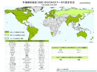 250602BSE海外ステータス