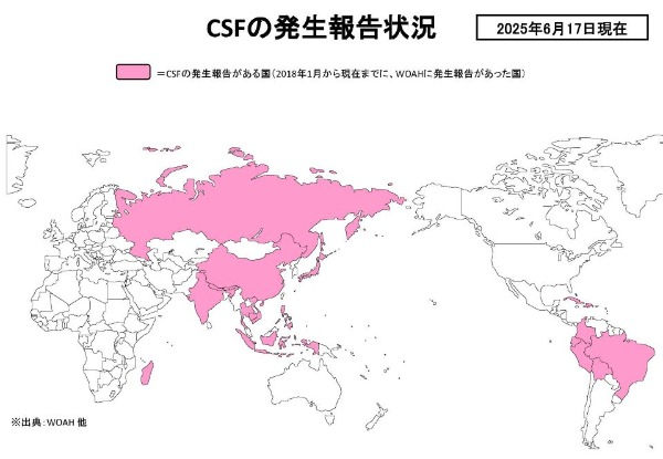 世界豚熱発生状況