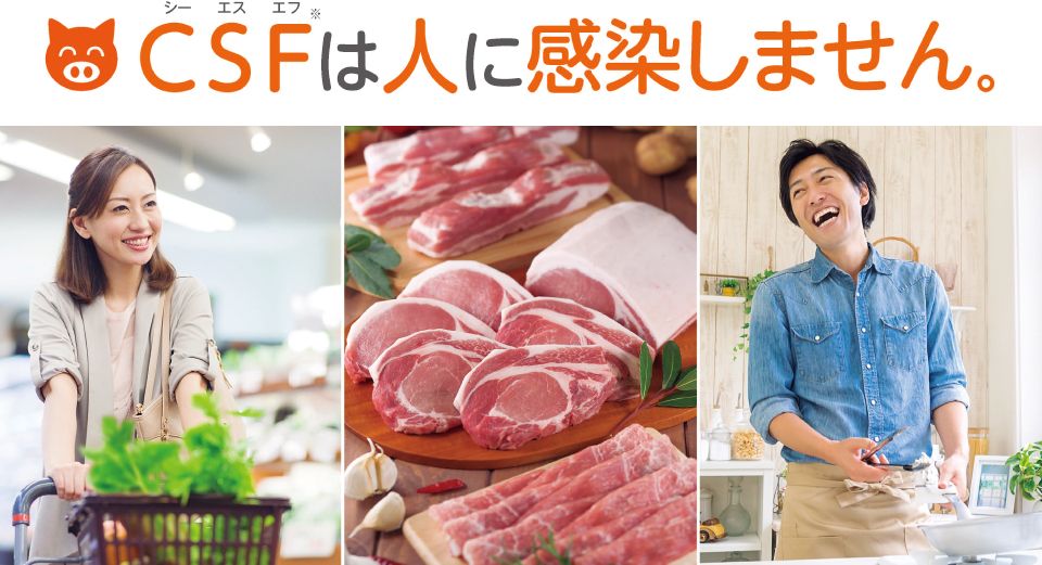 CSFは人に感染しません。