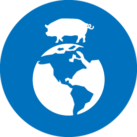 海外における発生状況についてのイメージアイコン