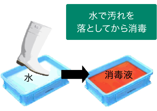 水で汚れを落としてから消毒