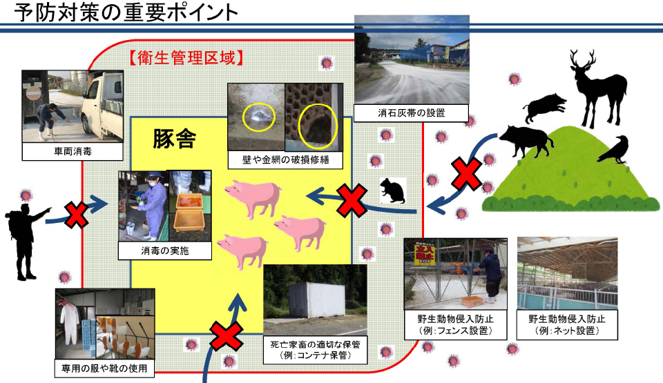 予防対策の重要なポイントのイメージ
