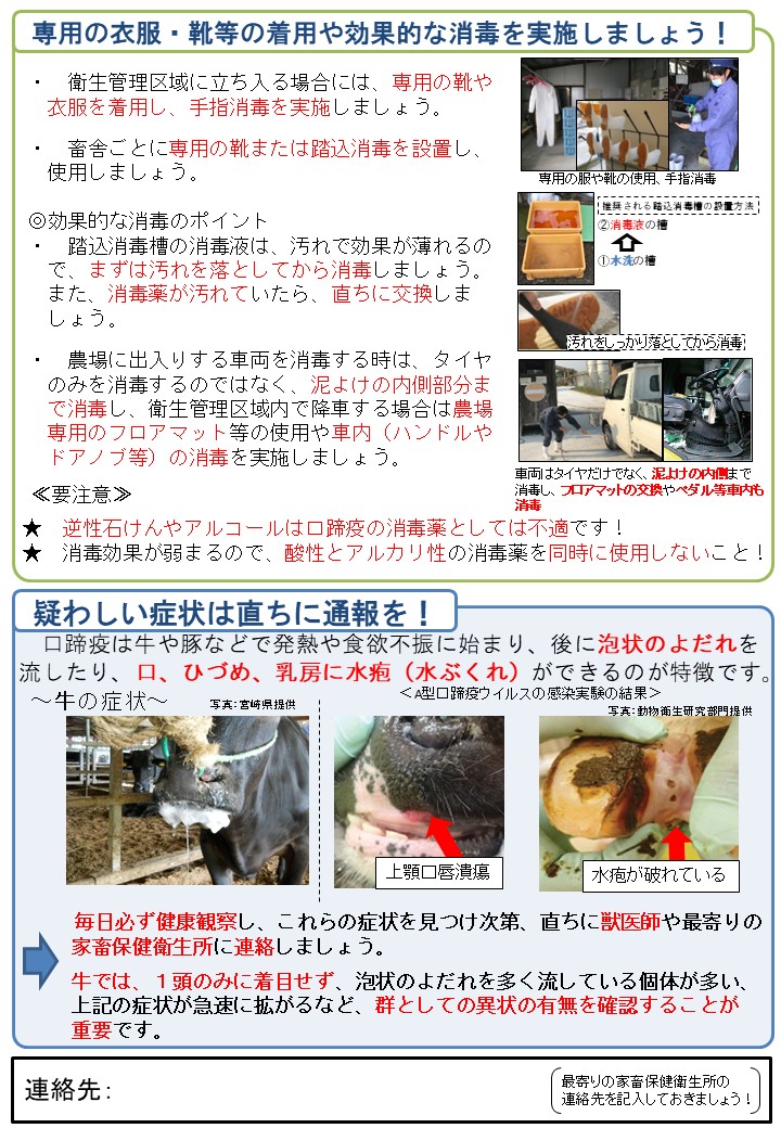 口蹄疫（牛）について、消毒の実施方法や、疑わしい症状の写真を掲載している。