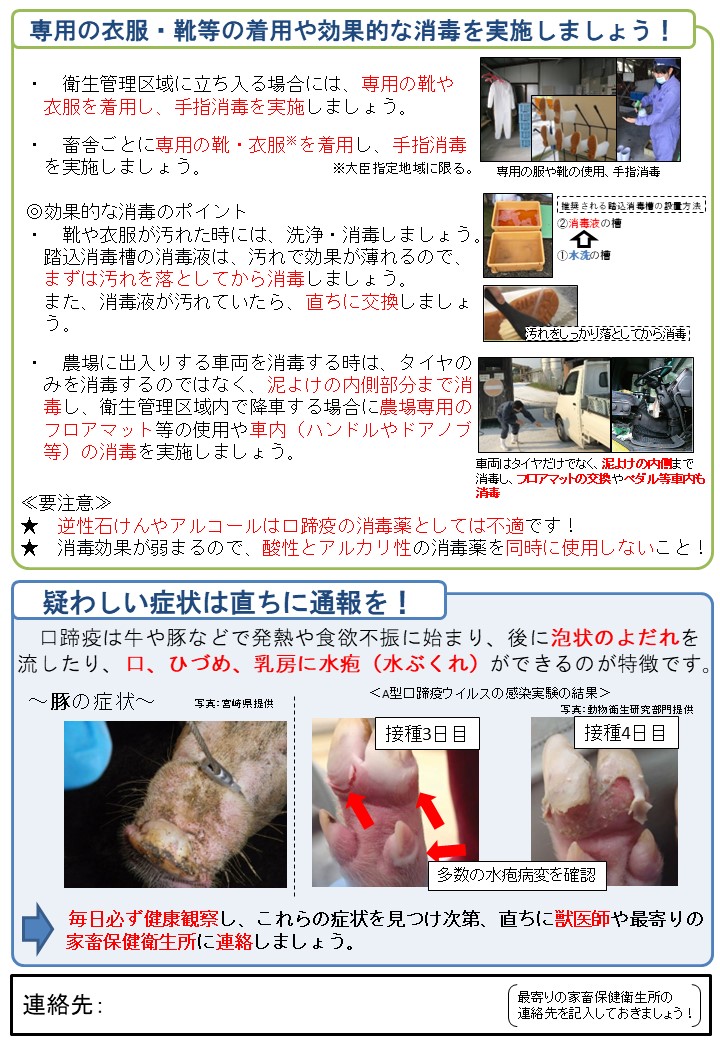 口蹄疫（豚）について、消毒の実施方法や、疑わしい症状の写真を掲載している。