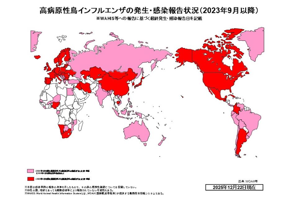 251222世界鳥フル発生状況　文字無し