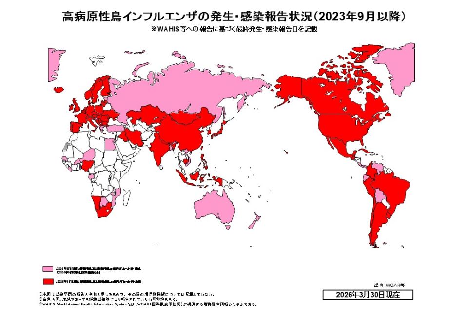 世界HPAI地図のみ（文字無し）