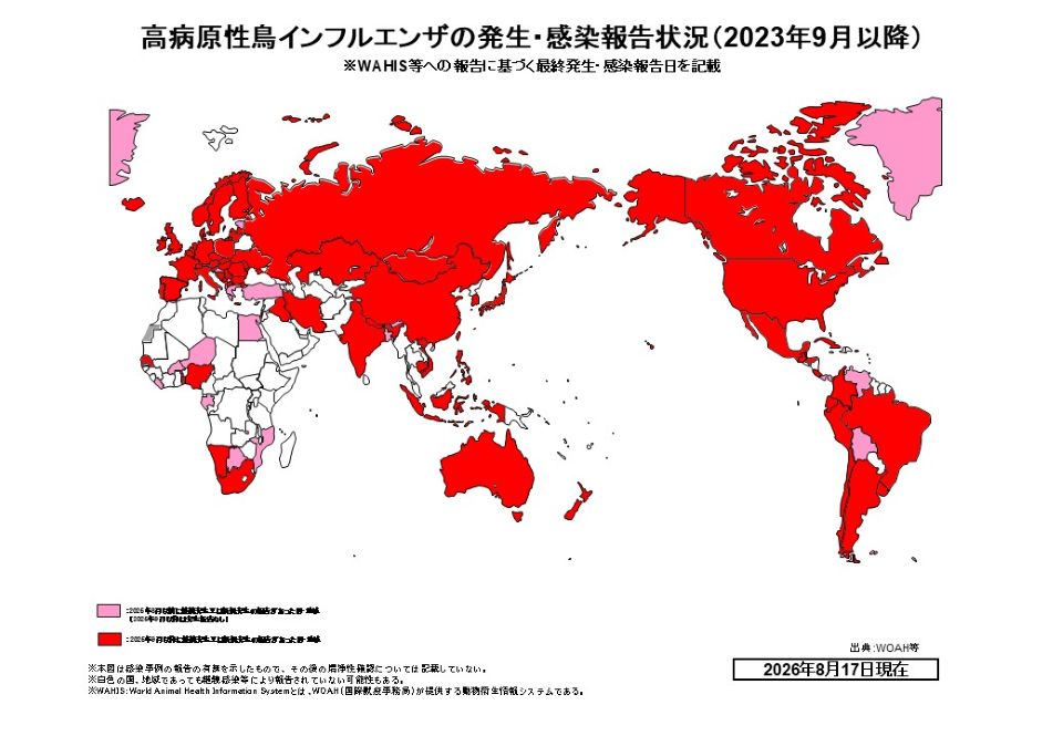 高病原性鳥インフルエンザの世界発生・感染報告状況を示した世界地図（2023年9月以降、2026年8月17日現在）