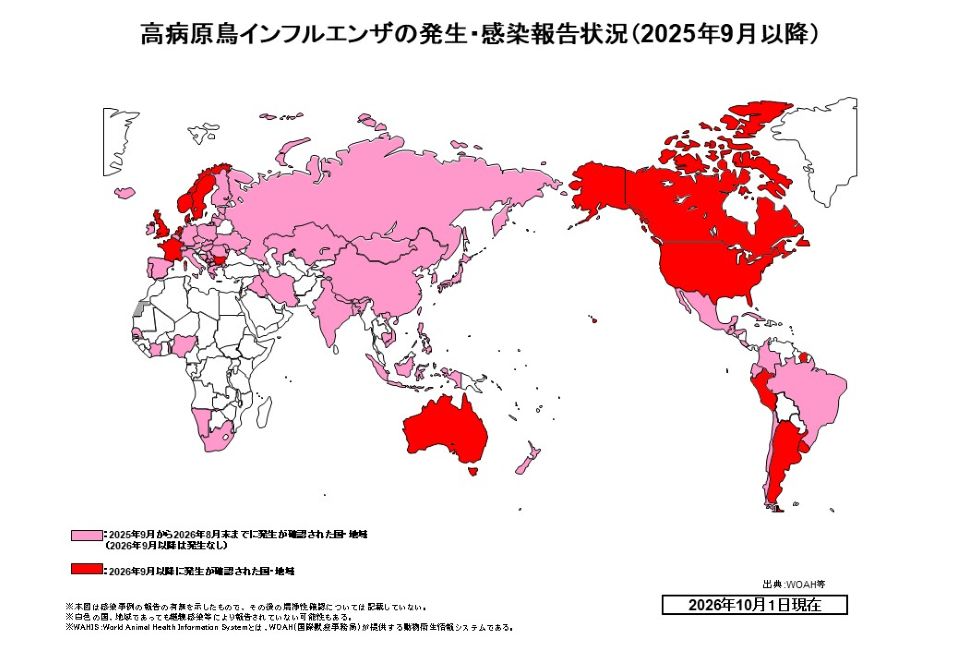 2025年9月以降における高病原性鳥インフルエンザの発生・感染報告状況を示した世界地図（2026年10月1日現在、文字なし版）。